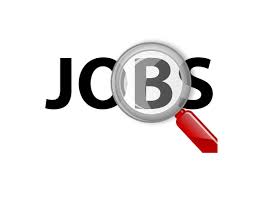 Public & Government Universities